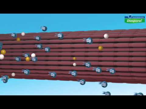 Über die Vorteile von Aspik für Gelenke Produkte sind für Nahrungsmittelverbindungen nützlich
