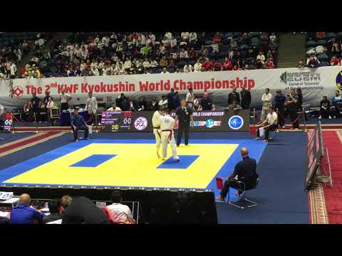 KWF World Championship 2018, Astana, Artur Arushanyan 1/8 fight