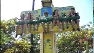 Frog Hopper - Boomers Irvive