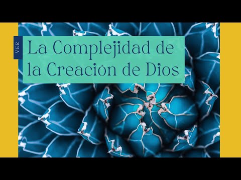 Ep 3 - The Complexity of God's Creation | Science discovers that the UNIVERSE had a beginning