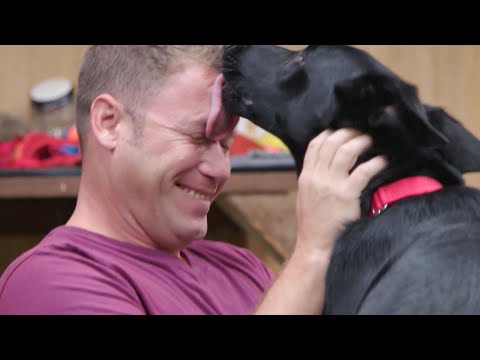 Disabled War Veteran Meets His New Service Dog | Lucky Dog