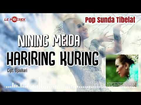 Nining Meida - Hariring Kuring ( Official Audio )
