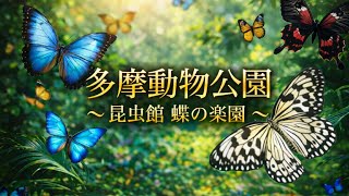 #3 【癒しの楽園】多摩動物公園｜昆虫館で舞う美しすぎる蝶たち🦋✨ぷらぷら散歩第3弾