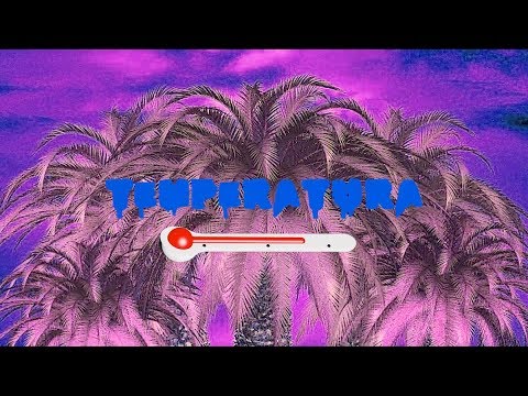 DOG DELGADO x DATBOY RICO | TEMPERATURA