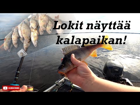 LOKIT NÄYTTÄÄ KALAPAIKAN | MYRÄKKÄÄ KARKUUN K2/J11