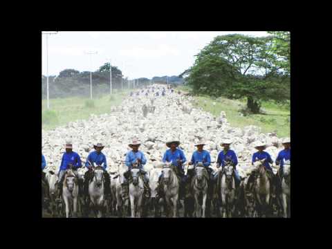 Esta Tarde - Meyer Beltran