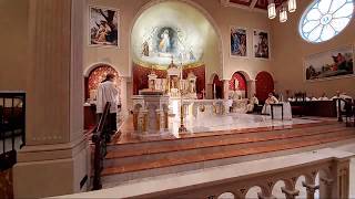 Easter Sunday Mass (Live At 10AM Central Time)