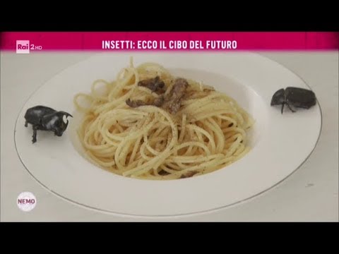 Insetti: il cibo del futuro - Nemo - Nessuno escluso 12/10/2017