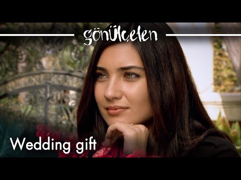 I was just about to call you - Episode 57 | Becoming a Lady