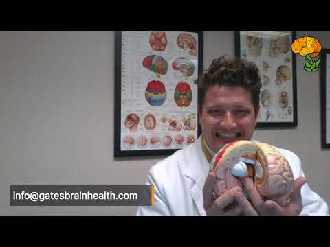 Depression and Childhood Trauma: Part II, Epigenetics and Stress