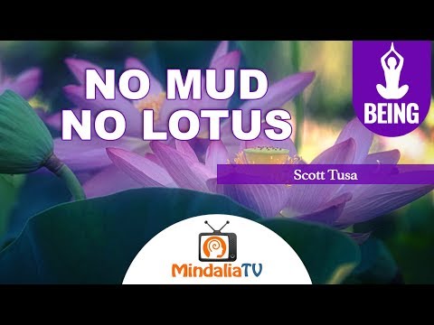 No mud, no lotus by Scott Tusa
