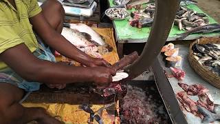 preview picture of video 'Angrail Fish Market, West Bengal'