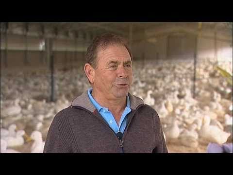 Pepe Bonaccardo - Finalist, Famer of the Year 2010