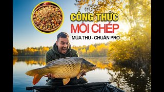 Mồi câu CÁ CHÉP MÙA THU: Công thức chuẩn, dễ pha, cá cắn liên tục