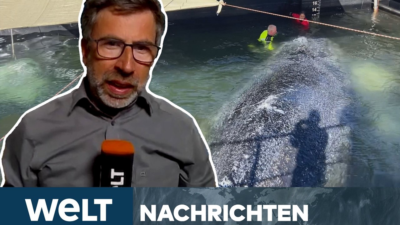 NORDSEE: Timmy „mit hoher Wahrscheinlichkeit“ tot – bittere Ahnung oder voreiliger Schluss? | STREAM