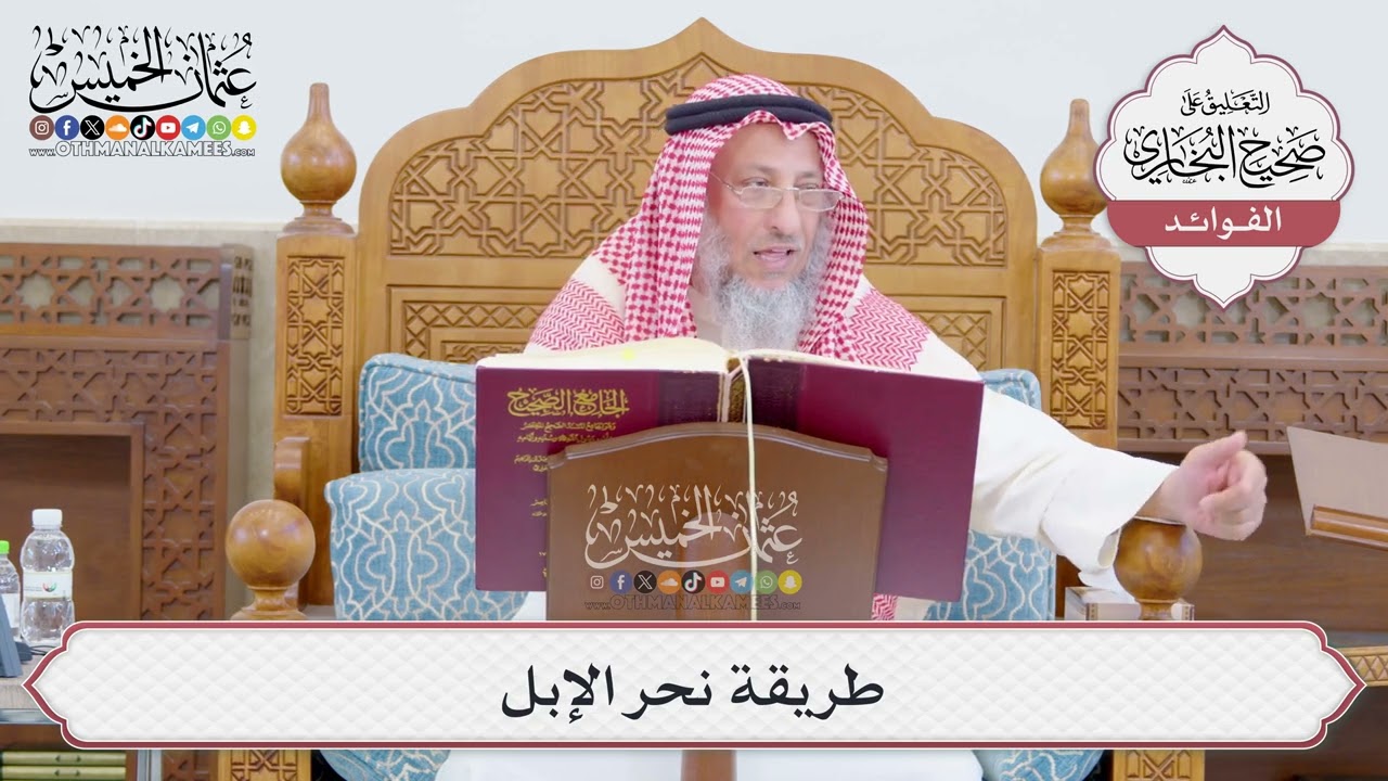 [756] طريقة نحر الإبل - عثمان الخميس