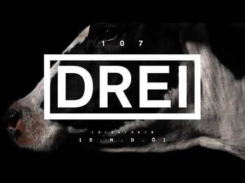 DREI 107 - E.N.D.Ö (13.04.2018)