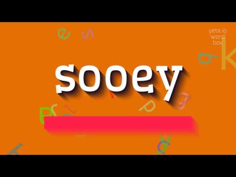 How to say "sooey"! (High Quality Voices)