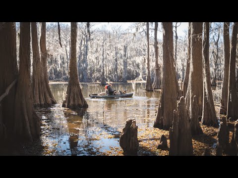 Kayak Camping Caddo Lake - 3 Day Swamp Survival