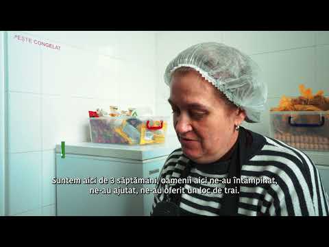 Floare de Cireș: Antreprenorii sociali sunt alături de nevoile refugiaților