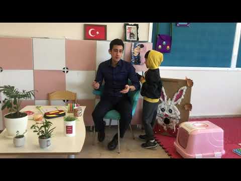 Özel gereksinim duyan çocuklarda tuvalet eğitimi konusunda sohbet ettim (Ponpon’un anısına)