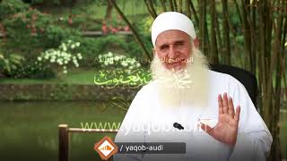 11 - الجزء الحادي عشر |( #قرآنا_عجبا )| الشيخ محمد حسين يعقوب image