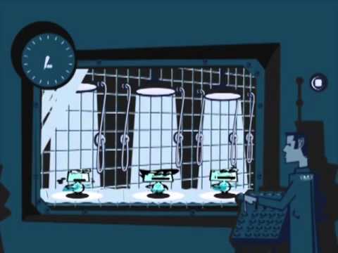 GREAT 3 - Oｈ Baby Plus