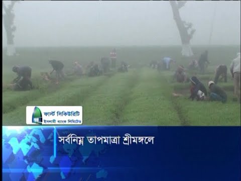 সর্বনিম্ন তাপমাত্রা শ্রীমঙ্গলে