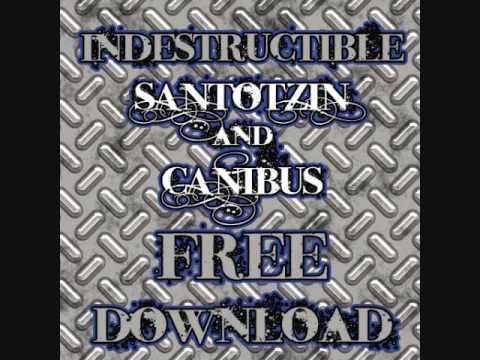 Indestructible remix by SANTOTZIN