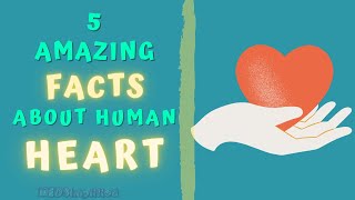 5 SURPRISING FACTS ABOUT HUMAN HEART.