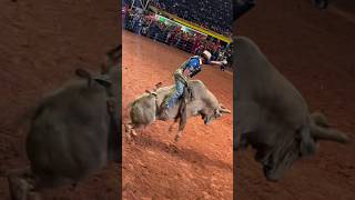 Touro Cobiçado TRICAMPEÃO de Americana 🐂🏆