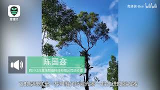 Re: [新聞] 美頂級無人機可發射致命激光 空中熔化導