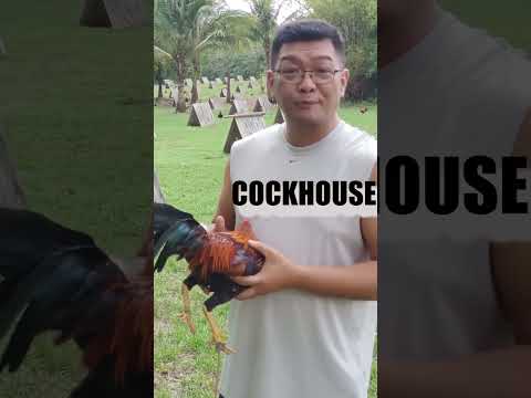 SWEATER YELLOW LEGGED HATCH