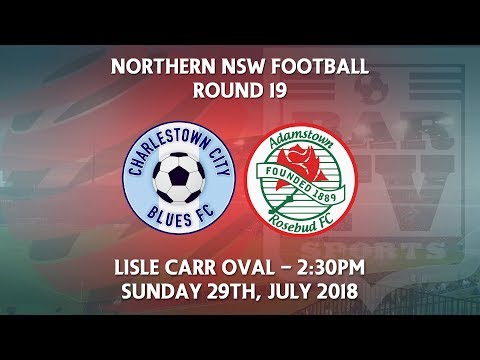 2018 NNSWF NPL Round 19 - Charlestown City Blues v Adamstown Rosebud FC