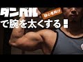 ダンベルで腕を太くする!【初心者向け】ホームトレーニングのススメダンベル編vol 5