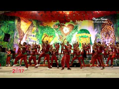 Coreografia BOI GARANTIDO 2017  - Toada: A ÍRIS DA CRIAÇÃO