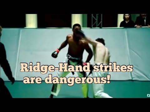 Ridge Hand is a scary technique! @davidskaratetips.7306