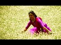 Roja Movie Songs Telugu Status Telugu Old Songs Love
