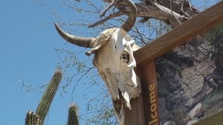 preview picture of video 'Baja California Sur, México - Desierto / Desert tourism - Turismo Sierra de la Laguna - Tour BCS'