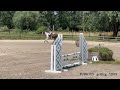 Vous cherchez le premier poney d'obstacle idéal ?