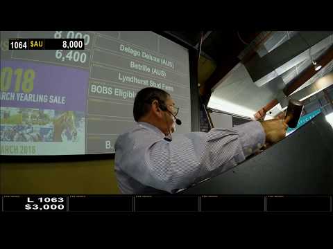 2018 Gold Coast Yearling Sale - Day 6 (Live Stream Archive)