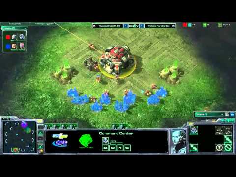 BratOK vs Nerchio  LT