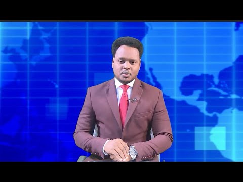 Warka  Universal 06 11 2025