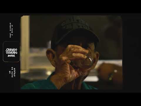 05 Ahgave  - Elite do Atraso part. Kyanaju & Nega Lu (Visualizer)