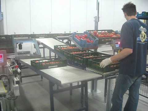 download lagu mp3 mp4 Single Layer Tomato Boxes, download lagu Single Layer Tomato Boxes gratis, unduh video klip Single Layer Tomato Boxes