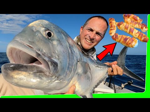 Hoochie boat camping - Remote Islands - Catch and Cook - EP.548
