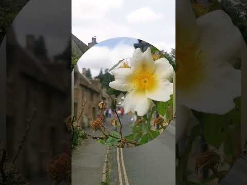 England. (Cotswolds) . By Nesreen. s. Jarrar