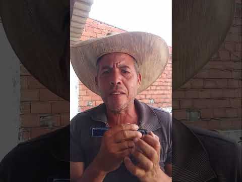 TUADA DYELLZAO GROTAO  CATALÃO GOIÁS 