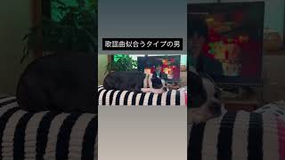 洋犬だけど歌謡曲似合うおっさん犬 #ボストンテリア