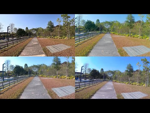 $250 GoPro HERO 12 vs $120 AKASO Brave 7 LE vs $120 SJCAM SJ8 Pro vs $102 SJCAM SJ11 Active